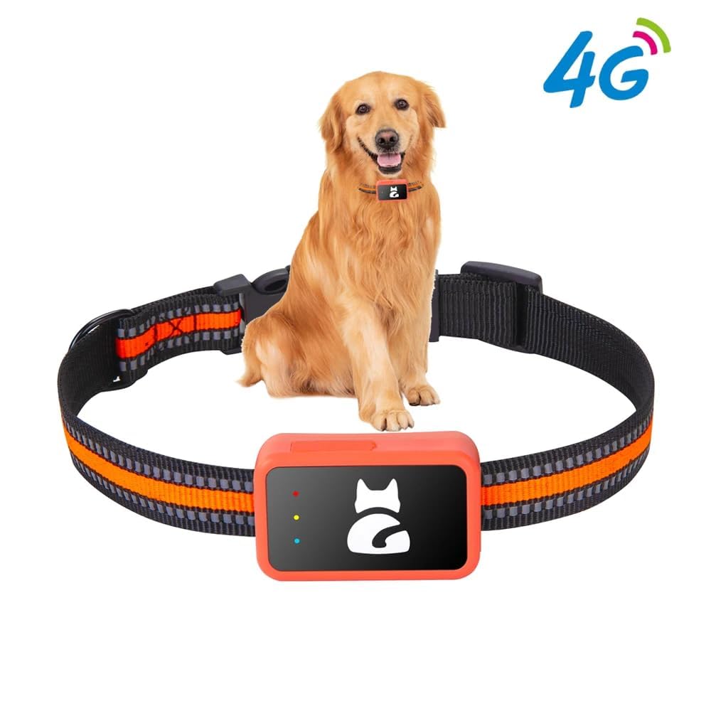 Localizzatore GPS per Cani e Gatti Impermeabile con App Gratuita – Tracciamento in Tempo Reale, Allarme Perimetrale, Cronologia Spostamenti Funziona con Scheda Nano SIM 4G