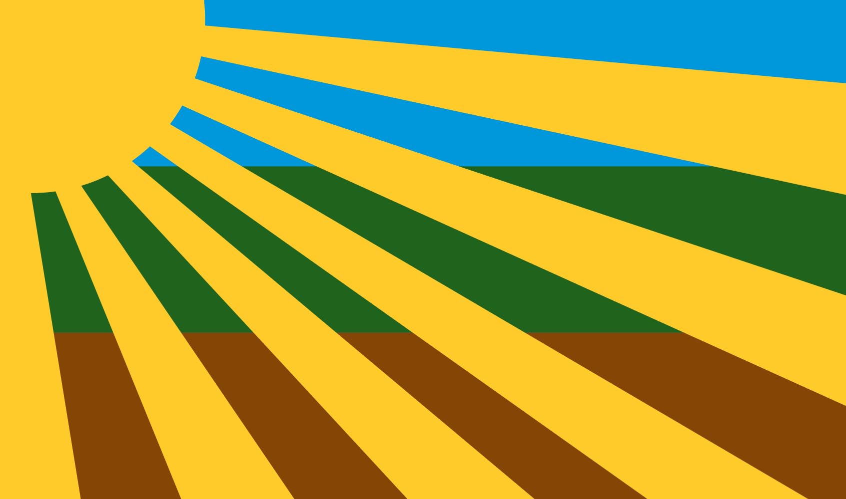 Drapeau Jaguarari BA grand format pour afficher vos racines brésiliennes
