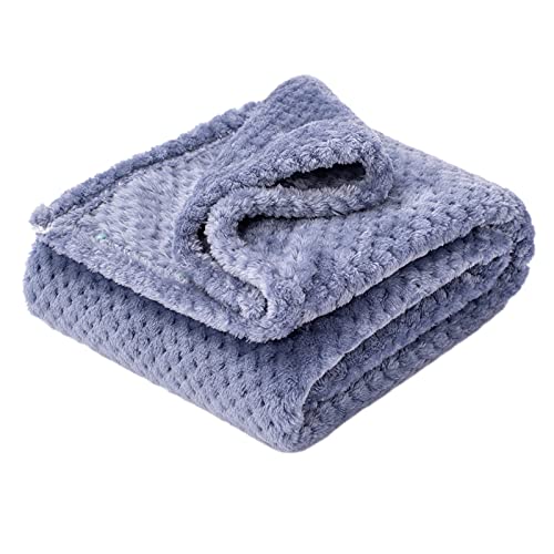 Image of Fuzzy Blanket or Fluffy Blanket for Baby Girl or boy, Soft Warm Cozy Coral Fleece Toddler, Infant or Newborn Receiving Blanket for Crib, Stroller, Travel, Decorative (40”×60”, Pearl Blue)