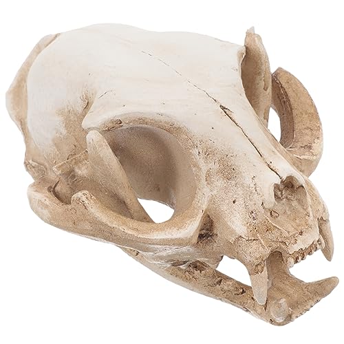 Image of Amosfun Halloween Animal Scary Skeleton Props Resin Cat Skull Model Figurine Aquarium Fish Tank Landscape Decorations