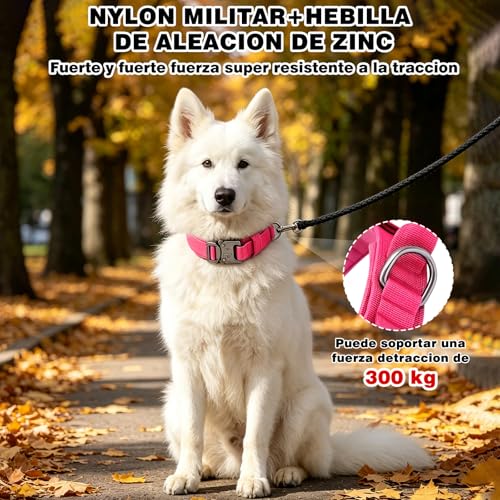 Collares para perros 6 Imagen adicional