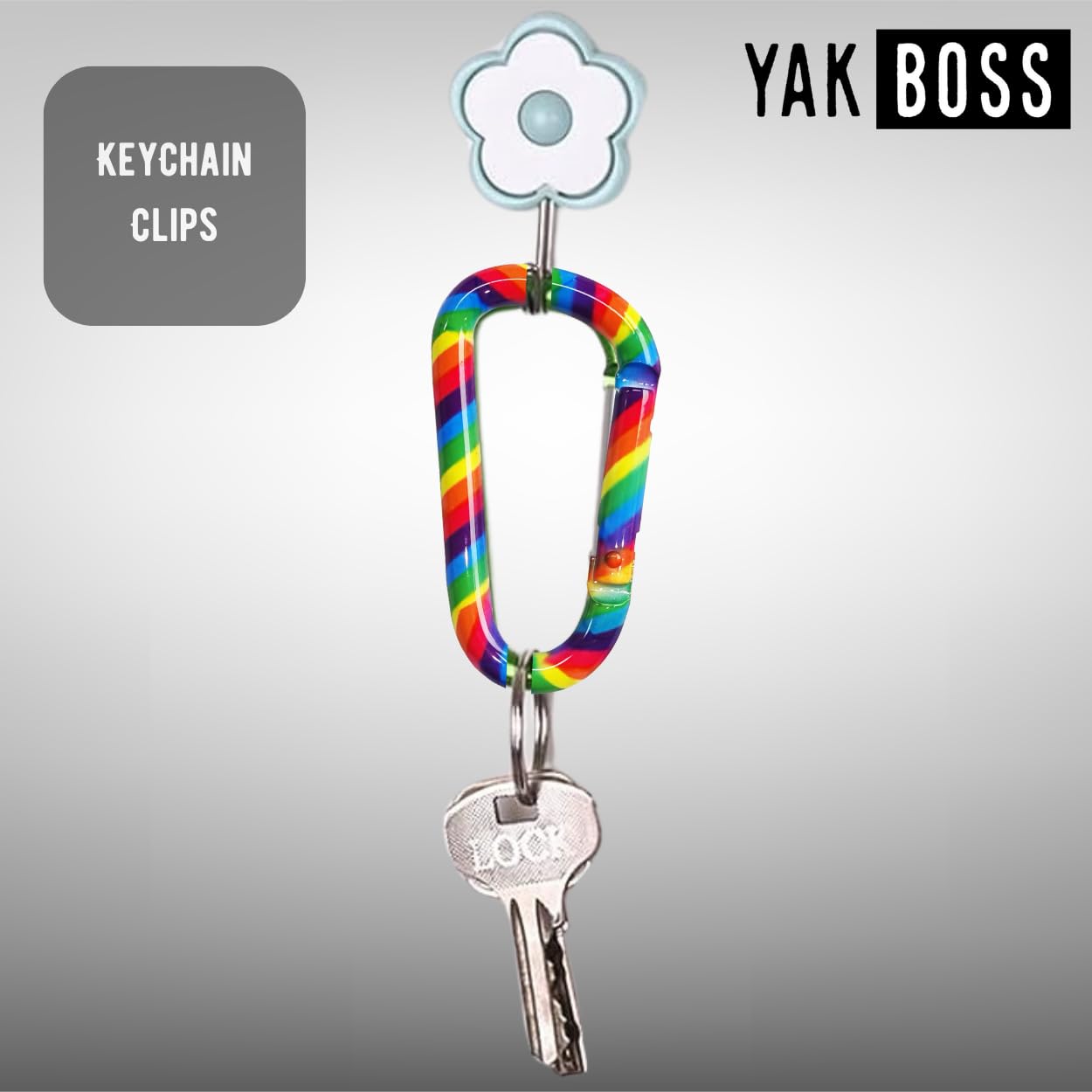 Yak Boss Rainbow Pride Carabiner - 4 Pack, Stainless Steel