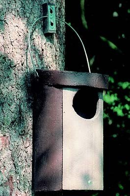 Schwegler Naturschutzprodukt Eulenhöhle Typ Nr. 5 ohne Marderschutz Flugloch 110 x 120 mm