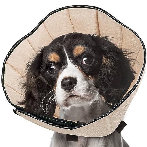 Soft Dog Cone Collar The 15 best products compared Wild Explained