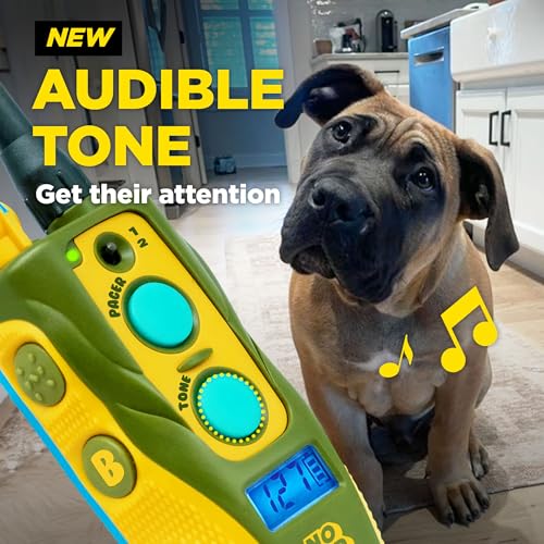 Image of Dogtra E-Collar Tom Davis 280C 2.0 [2025 Edition], Boost & Lock, Waterproof, 1 /2-Mile Range Dog Training Collar with Remote, Rechargeable, 127 Levels, Vibration, Bungee, No Bad Dogs Trainers