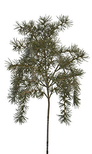 2474U Kunstzweig Zeder Tanne-/Nadelbaum grün ca. 78cm naturgetreu,...