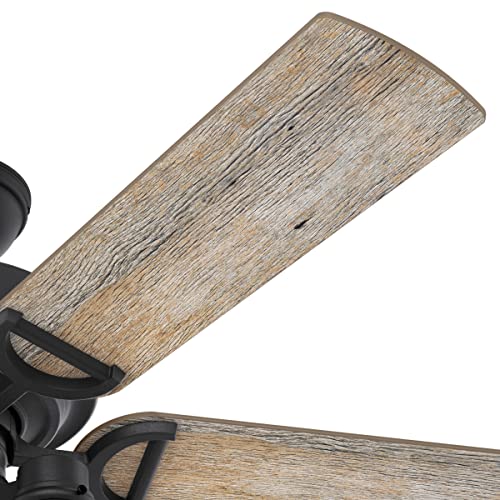 Hunter Fan Company 50409 Hunter Rustic 52 Inch Starklake Indoor or Outdoor Ceiling Fan with 3 LED Edison Bulbs, Pull Chain Control, and Quiet 3 Speed Motor, 52, Natural Iron finish - Image 9