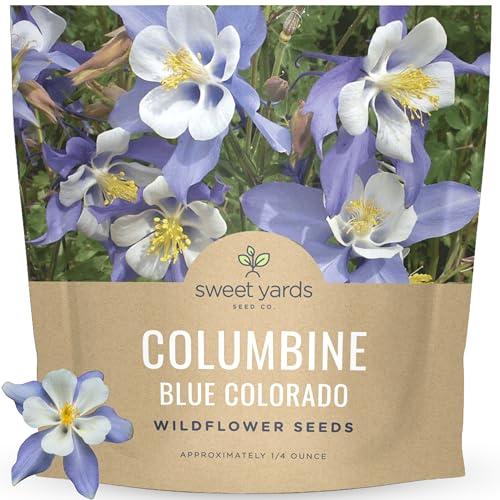 Columbine Blue Large 1/4 Ounce Seed Packet 6 000 Flower Seeds for Planting Aquilegia caerulea