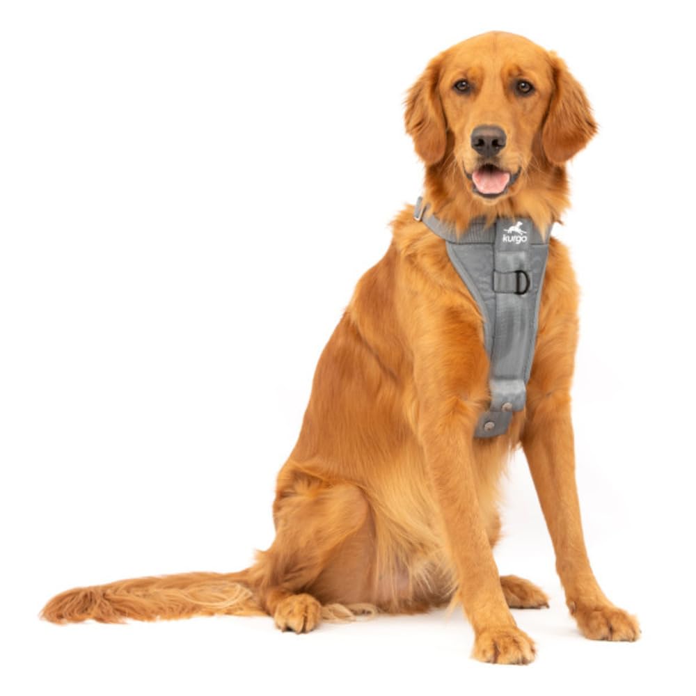 Kurgo Tru-Fit - Pettorina di Sicurezza per Auto per Cani con Regolazione a Cinque Punti e Fibbia di Sicurezza - Antracite - L