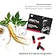 ERECTus – Ergänzung für Männer mit Rhodiola Rosea, Tribulus, Panax Ginseng & L-Arginin – Pflanzliche Rezeptur ohne künstliche Zusatzstoffe