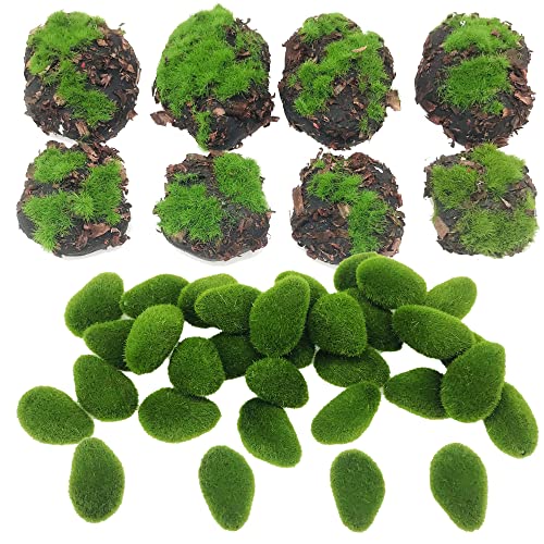 Woohome 38 Pz Musgo Artificial Rocas Decorativas, 30 Pz Verde Piedras de Musgo, 8 Pz Serrín Rocas...