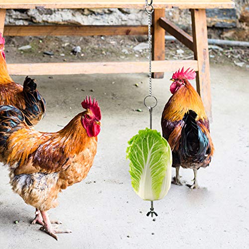 2 Stks Kip Groenten Spies Fruit Houder Voor Kippen Vogel Rvs Voedsel Houder Fruit Groente Stok Houder Vogels Opknoping… - Afbeelding 7