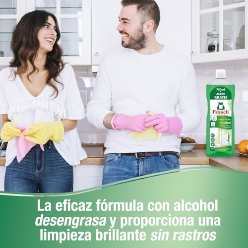 Frosch Limpiacristales Xl 1L