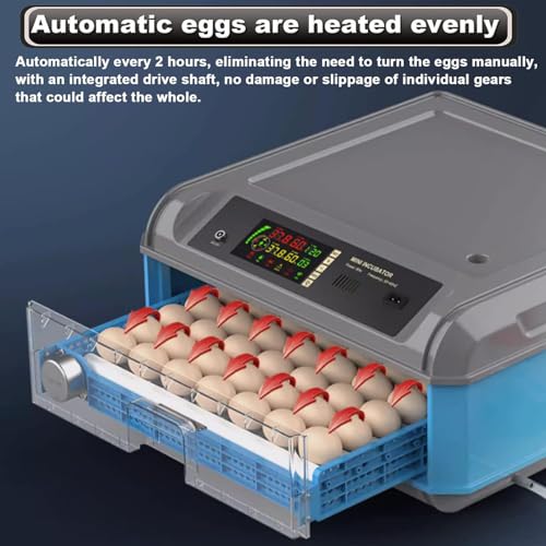 Incubadora de ovos de galinha - controle de temperatura + abastecimento de água, incubadora de ovos