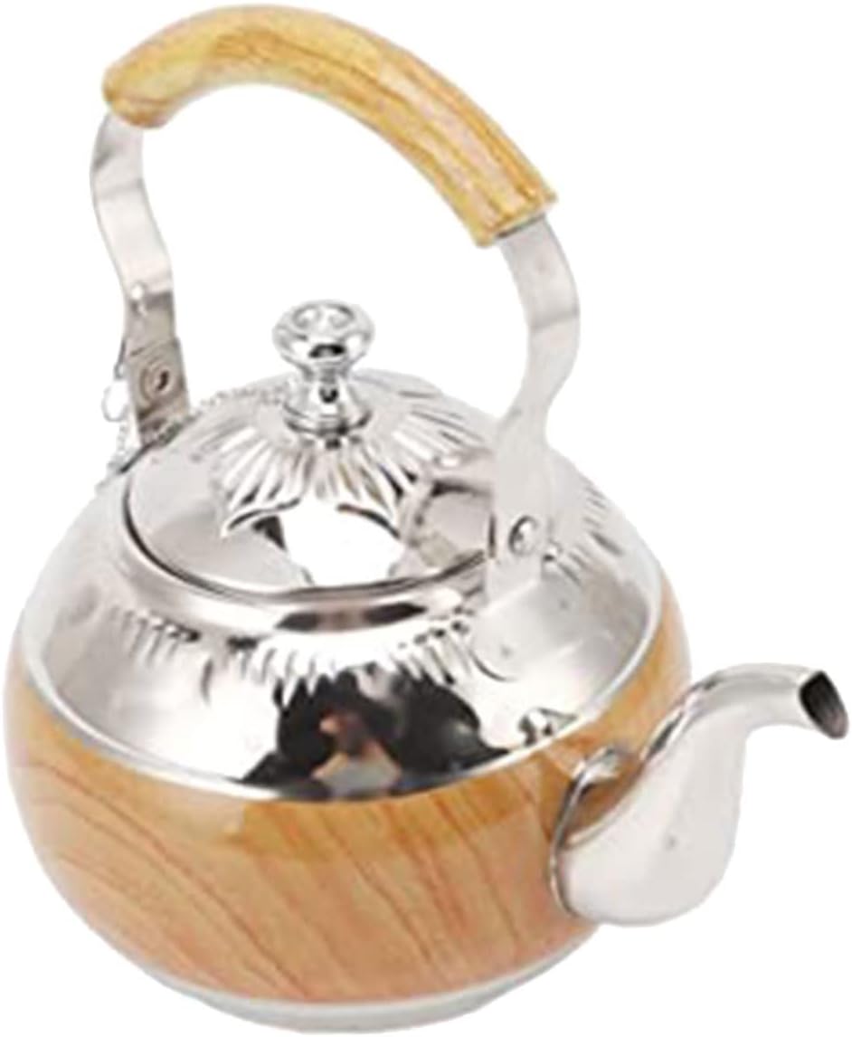 GANAZONO Tetera de acero inoxidable Tetera portátil de agua caliente Hervidor portátil Hervidor de té de acero inoxidable Hervidor de gas Hervidor