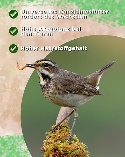 Futterbauer 5kg Soldatenfliegenlarven getrocknet, Premium Vogelfutter, Igelutter, Futter für Reptilien und Nager, Proteinreiches Naturfutter wie Mehlwürmer