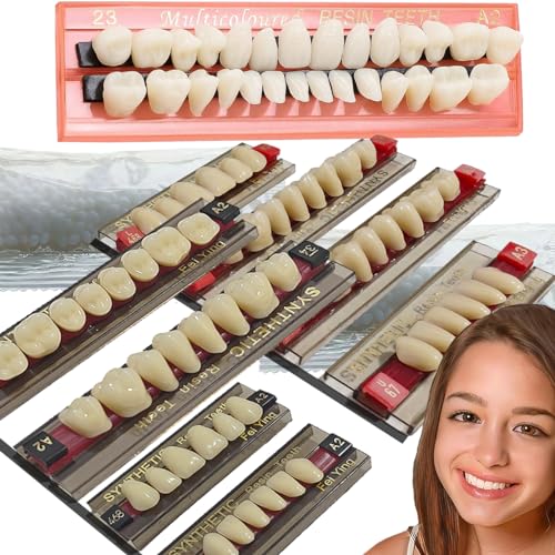 Image of 2+1Set Fake Teeth, Provisiona Teeth kit Dental Kit for Teeth, Teeth Model Dental Filling Missing Teeth, Tooth Kit DIY All Teeth 1+2( inchStandard Maximum Tooth inch) (A2,A3).Dental Education,Teeth Teaching.
