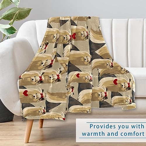 Couverture Yorkshire Terrier chaude contre le froid sur le lit et le canapé - 7