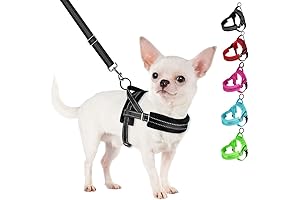 SlowTon No Pull No Choke Dog Harness and Leash Set