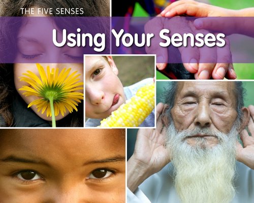 Heinemann Educational Books Using Your Senses