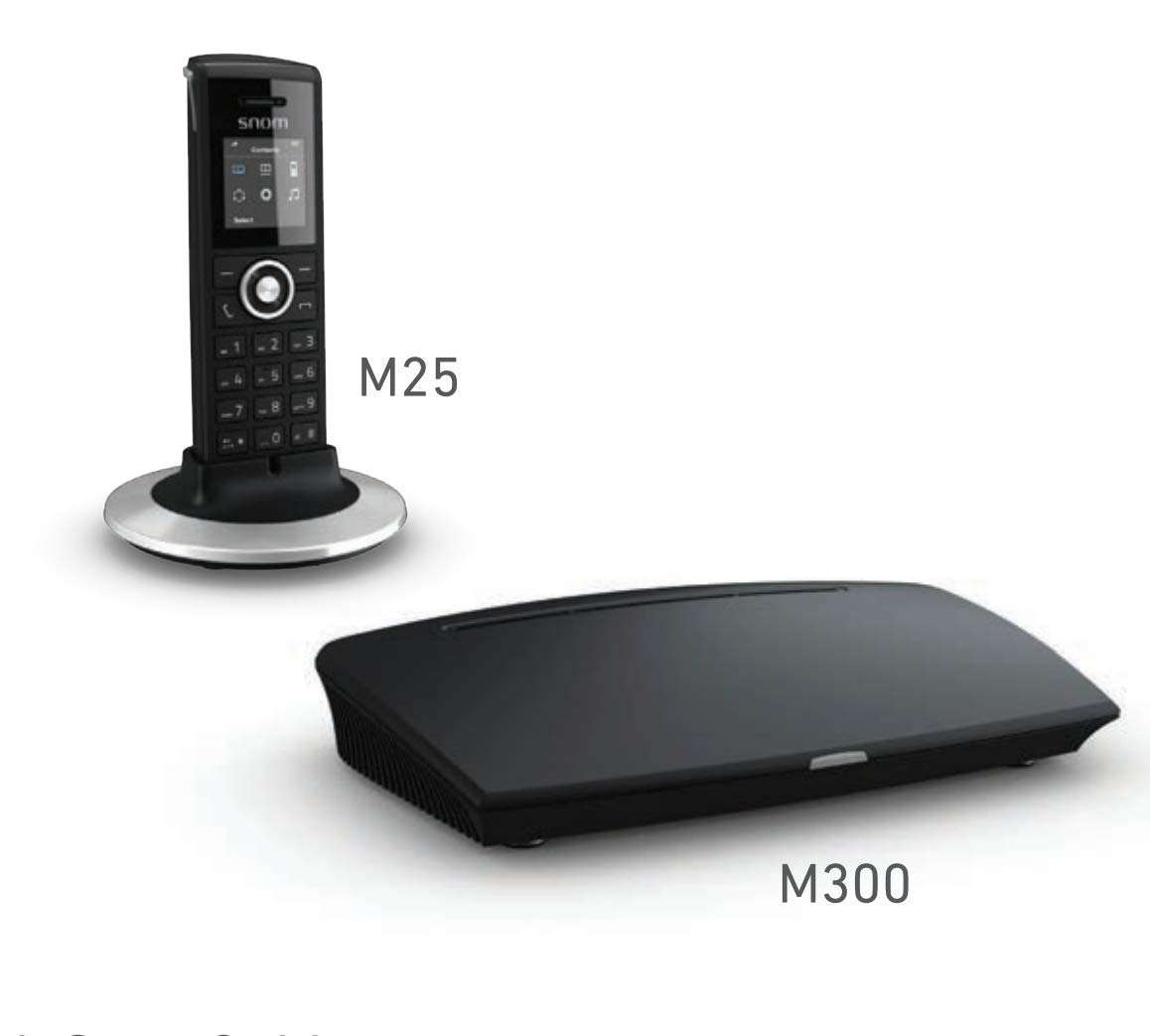 Snom M325 Singlecell IP-DECT-Paket, Schnurlos Set, DECT IP telefon + Basisstation (M300-Basisstation und M25-Mobilteilpaket, bis zu 20 Mobilteile, bis zu 5 parallele Anrufe), Schwarz, 00003955
