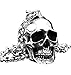 PAURO Men's Stainless Steel Gothic Biker Skull Pendant Necklace Punk Rock Silver Black Vintage