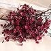 Waipfaru 6Pcs Fake Flowers Babys Breath Silk Artificial Flowers Gypsophila Bouquets Bulk Real Touch Fall Stems for Fall Thanksgiving Decor Autumn DIY Floral Arrangement Table Centerpieces, Wine Red