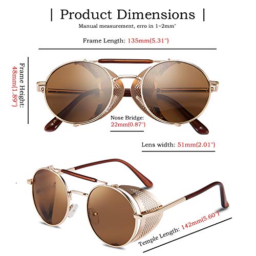 FEISEDY Steam Punk Sunglasses for Men Women Side Shield Round Steampunk Vintage Glasses Shades B25183
