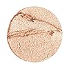 Julep-Eyeshadow-101-Creme-to-Powder-Waterproof-Eyeshadow-Stick-Champagne-Shimmer Julep Eyeshadow 101 Crème-to-Powder Waterproof Eyeshadow Stick â Champagne Shimmer â Long-Lasting, Crease-Proof, Medium Golden-Beige Shimmer Cream Eyeshadow with Built-in Smudger
