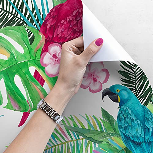 Papier peint perroquets tropicaux Magic-Stick repositionnable 360x250 - 4