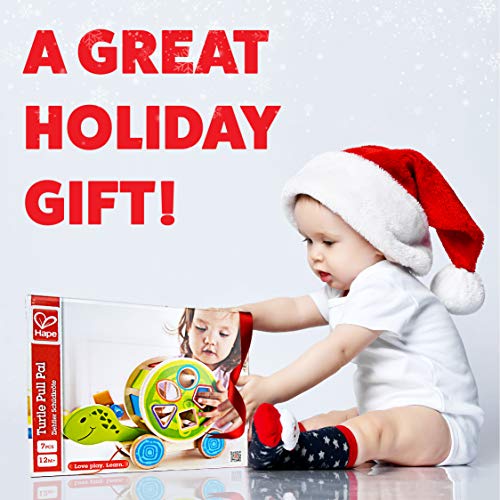 Hape Turtle Shape Sorter Wooden Toys Turtle Wooden Blocks Shape Sorter Pull Toys For Toddlers, Infant Shape Sorter Travel Toys #TOP5