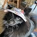Hunde-Sonnenhut, verstellbar, Baseballkappe mit Ohrlöchern, Sommer-Haustier-Visier, Hüte, Outdoor-Sport, Sonnenschutz, Sonnenhaube für kleine Hunde, Welpen, Katzen