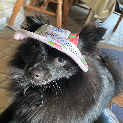 Hunde-Sonnenhut, verstellbar, Baseballkappe mit Ohrlöchern, Sommer-Haustier-Visier, Hüte, Outdoor-Sport, Sonnenschutz, Sonnenhaube für kleine Hunde, Welpen, Katzen