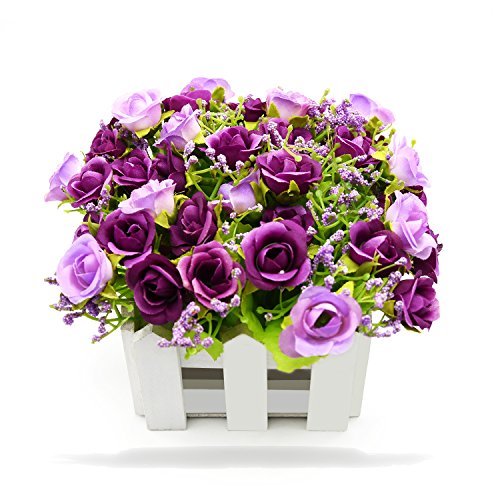 BEADY ~j_C[o lHϗtA  G} tFCNO[ CeA Mtg j (ԍ(zCg), p[v)