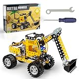 Lucky Doug Stem Building Projects Toys for Kids 8 9 10 11 12+ Year Old, 256 PCS Metal Building Construction Model kit, Engineering Building Blocks DIY Educational Gifts