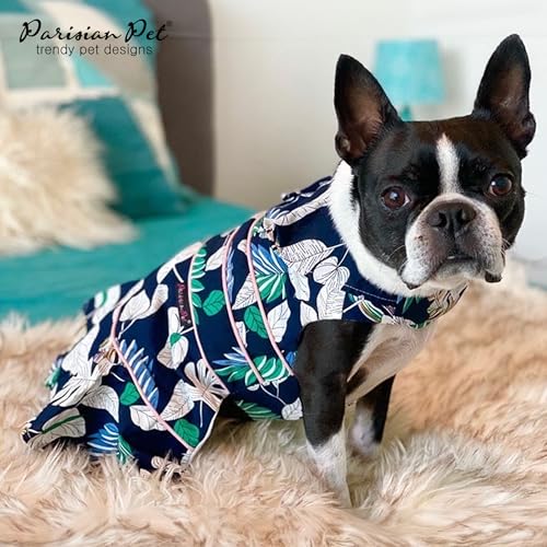 Robe pour chien 3XL Parisian Pet : la solution mode confortable pour grands chiens