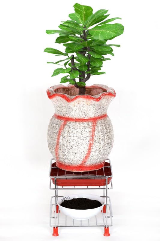 FIT N FORGET Premium Rust-Proof Steel Chrome finish Plant Stand fertilizer stand Tulsi stand gamla stand for Balcony and Living Room - Indoor/Outdoor Decor(8 inch) (B0D76TK4QR) Amazon Price History, Amazon Price Tracker