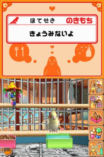 Amazon | おしゃべりオウム | ゲームソフト