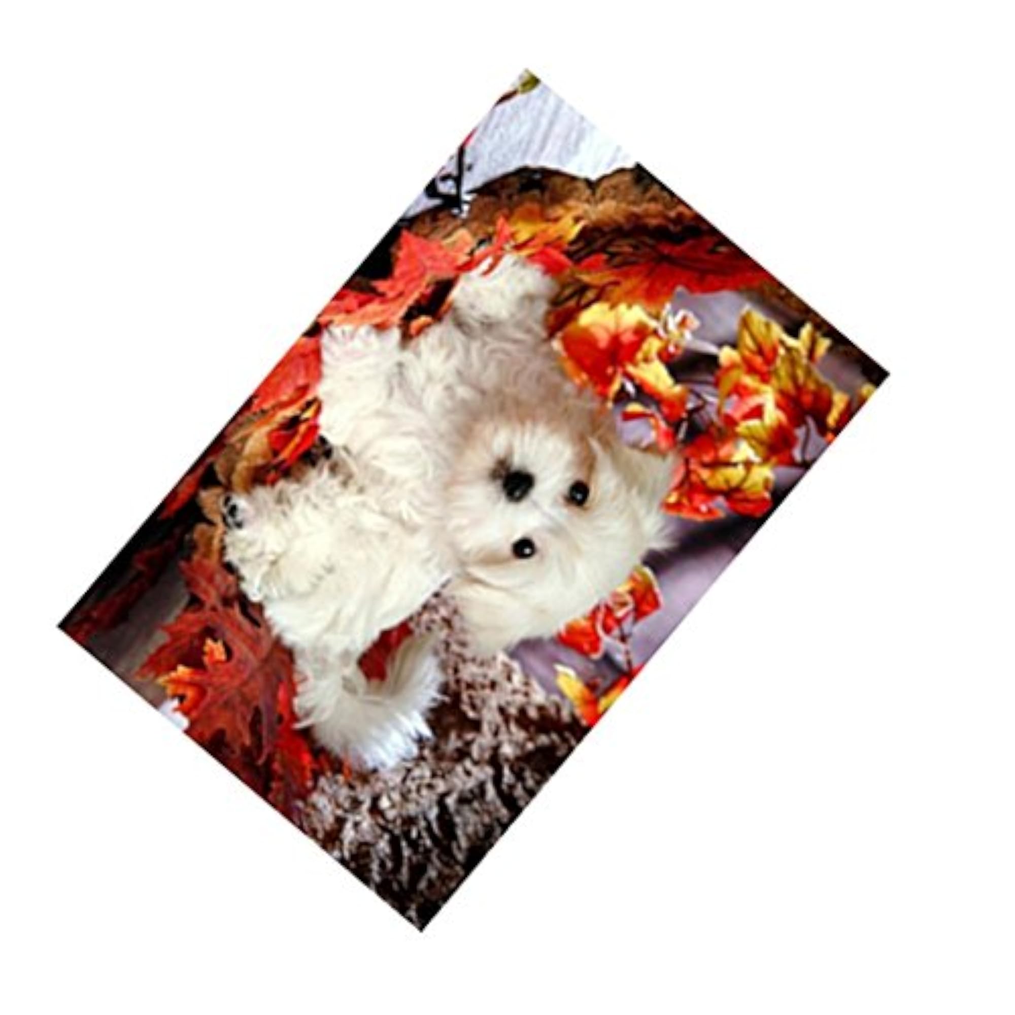 5D DIY Diamond Painting Animal Embroidery Art Craft