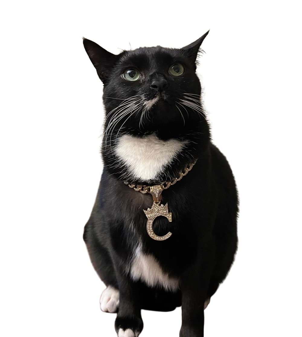 BA UNIQUE FASHION Initial Letter Cuban Chain Dog Chain Pet Chain Pet, Cat, Puppy Chain (18", C)