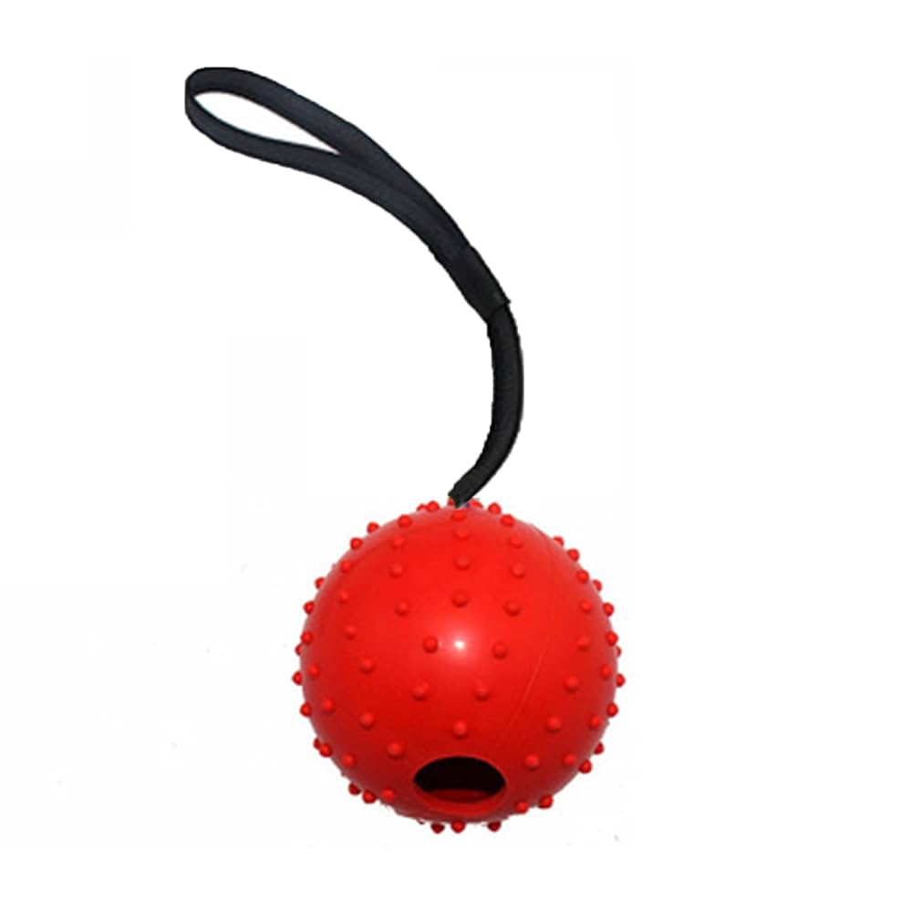 4 Palline Con Corda Per Cani - Giocattolo In Gomma Naturale Per Lancio E Riporto
