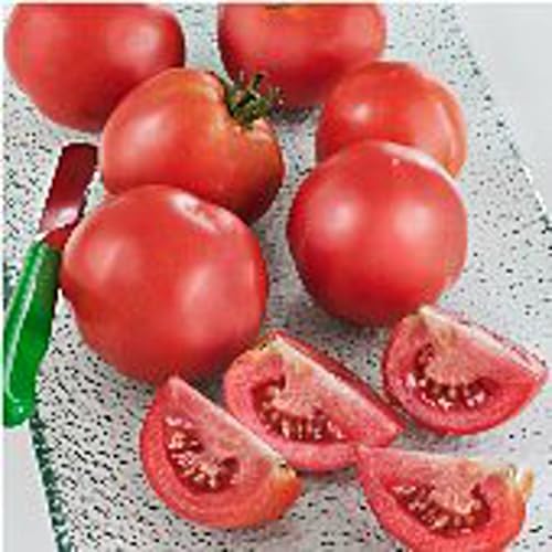 Early Girl Tomato Seeds (95 Seeds) Seeds for Planting Farm Growing in Garden Greenhouse Vegetable Fruit