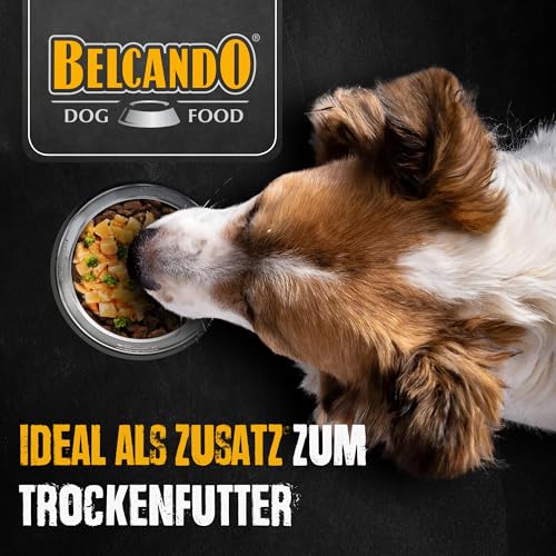 BELCANDO MASTERCRAFT Topping Lachs, 12x 100g Beutel, Nassfutter für Hunde, getreidefrei, sortenfrei, Ergänzungsfutter, Made in Germany