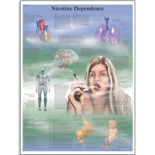 Image of 3B Scientific VR3793UU Glossy Paper Dependencia De La Nicotina Anatomical Chart (Nicotine Dependence Anatomical Chart Spanish), Poster Size 20 inch Width x 26 inch Height