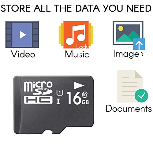 Super Talent 16Gb Micro Sdhc Memory Card With Adapter   (Msd16St10R) #TOP2