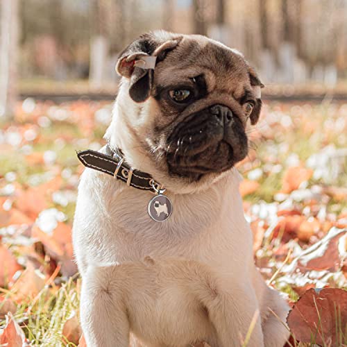 Disontag Qr Code Dog Tags, Personalized Dog Tags For Pets, Dog Id Tags, Dog Name Tags, Online Pet Page Prevent Lost/Modifiable Pug Gifts #TOP5