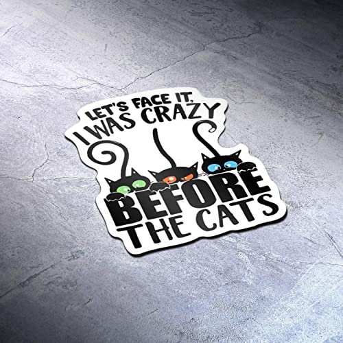 Imán decorativo Crazy Cat Lady 5 pulgadas miniatura 3