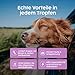 Zanipro Baldrian Beruhigung Tropfen für Hunde – Natürliche Hund Beruhigung bei Angst & Stress, Beruhigungstropfen Hund mit Baldrian & Helmkraut, Anti-Stress bei Silvester, Autofahrt & Trennung | 50 ml