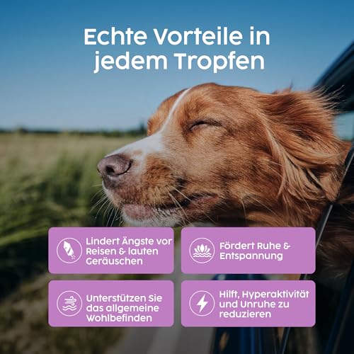 Zanipro Baldrian Beruhigung Tropfen für Hunde – Natürliche Hund Beruhigung bei Angst & Stress, Beruhigungstropfen Hund mit Baldrian & Helmkraut, Anti-Stress bei Silvester, Autofahrt & Trennung | 50 ml