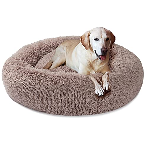Jumbo Dog Beds for Extra Large Dogs German Shepherd Great Dane Dog Bed Anxiety Giant Pet Bed 48 Inches Flat Fluffy